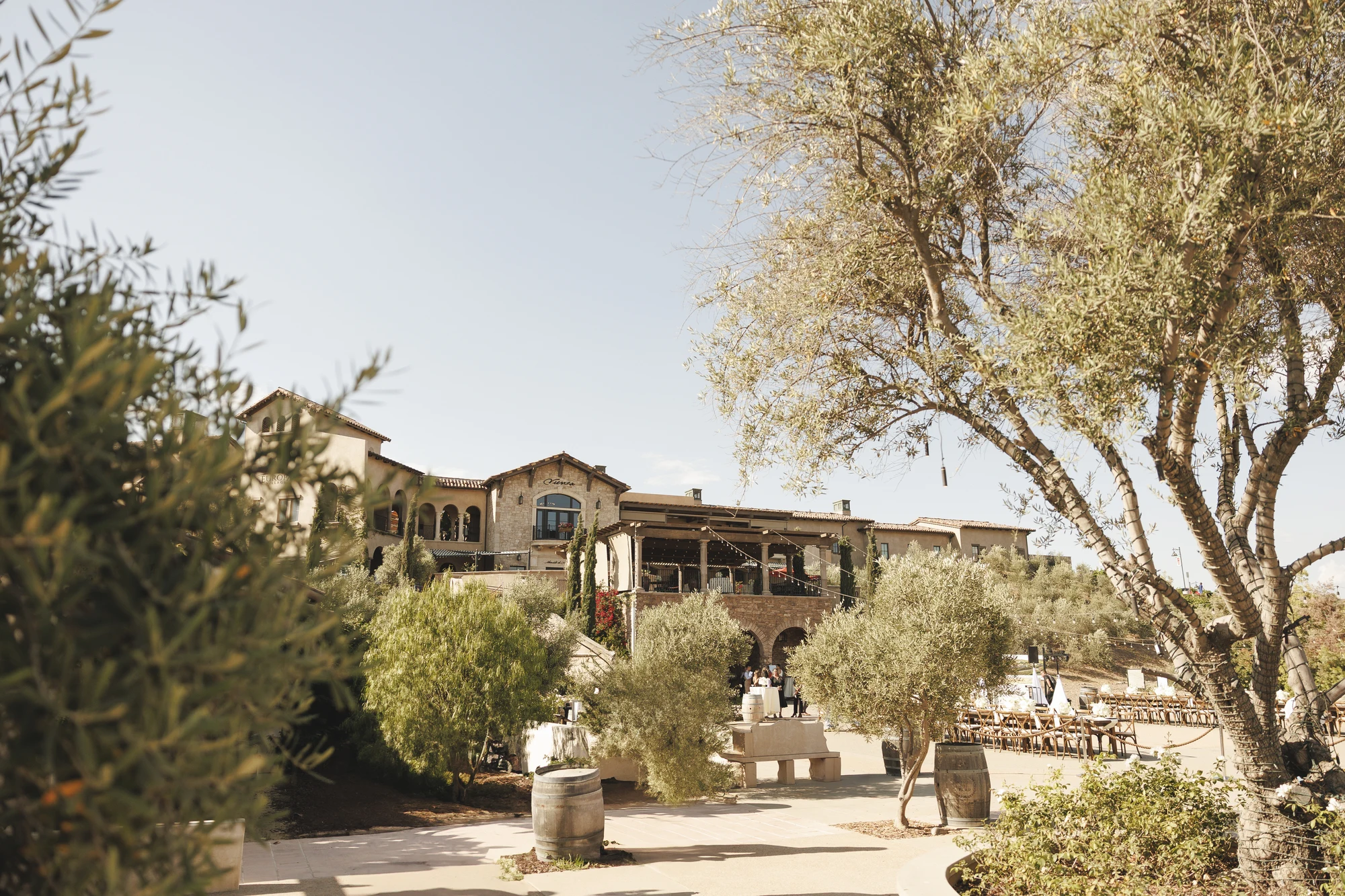 Temecula wine country wedding